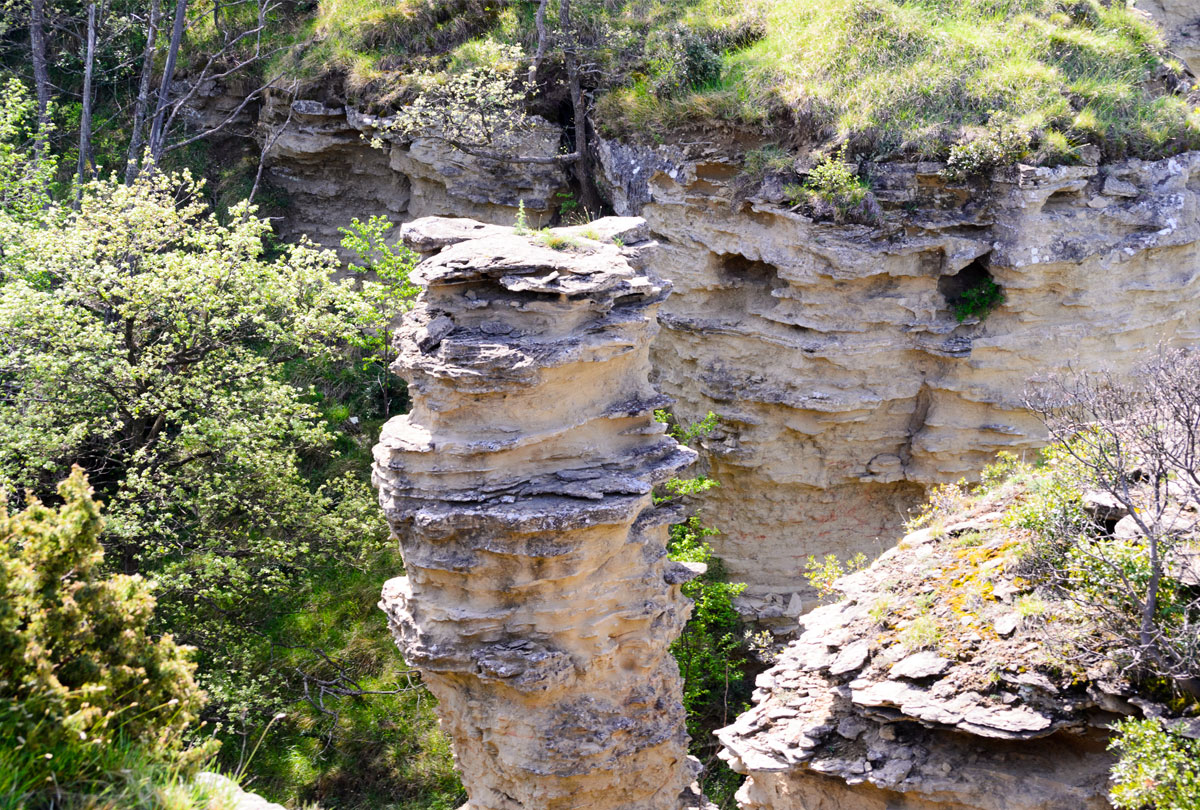 monte adone