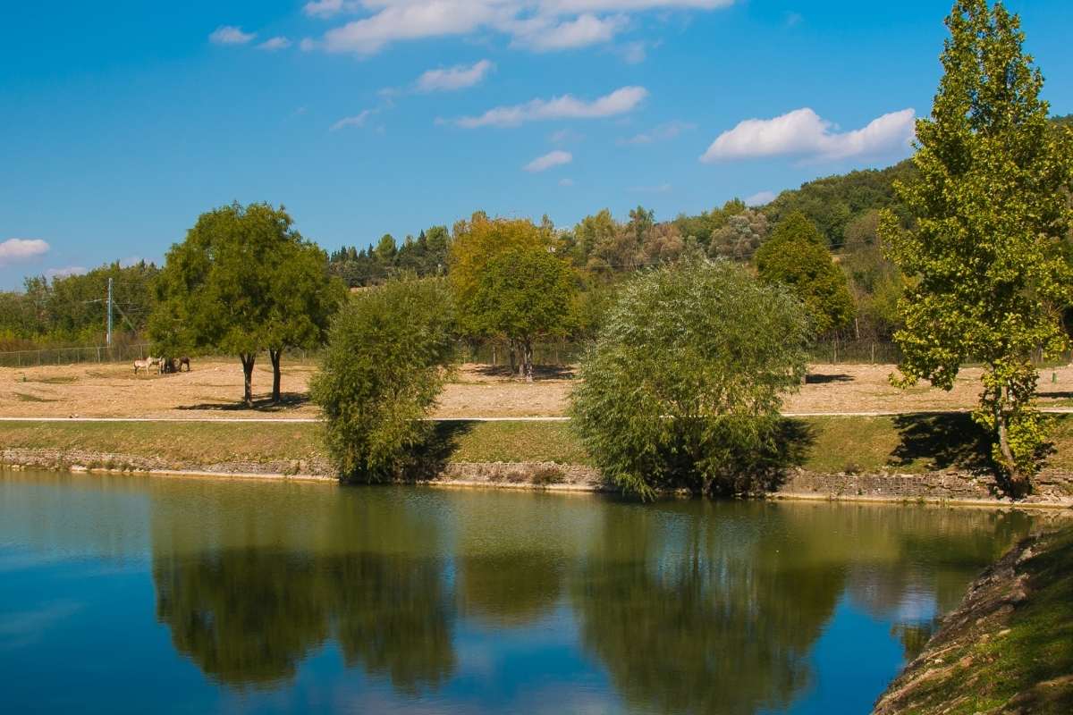 Cosa vedere vicino Todi