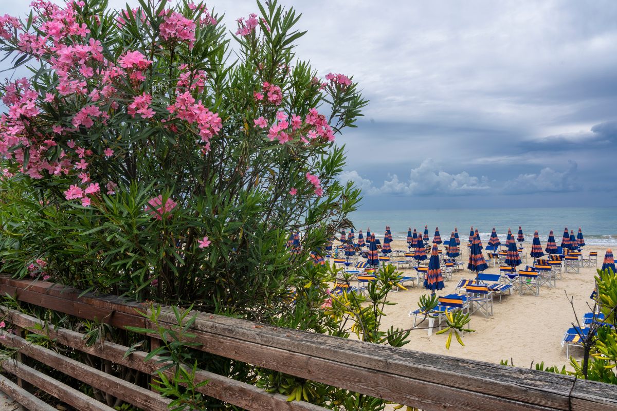 Visitare Giulianova