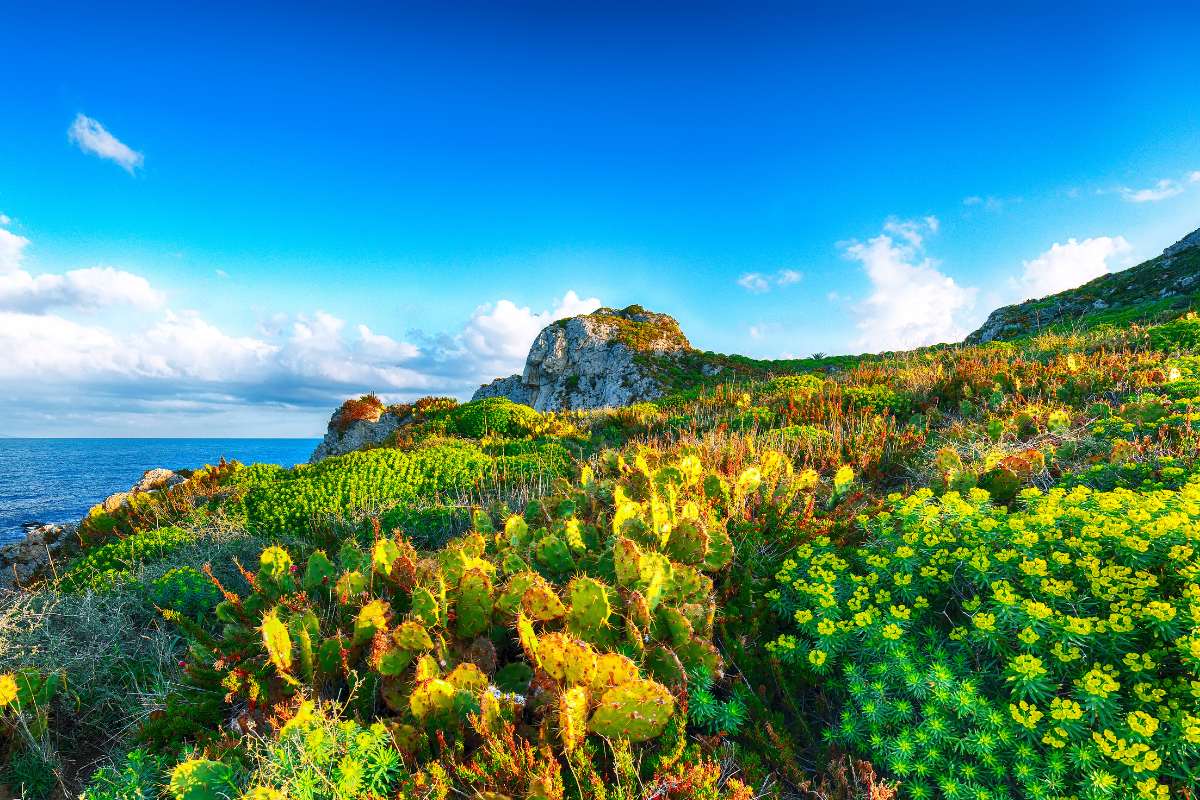 Capo Milazzo